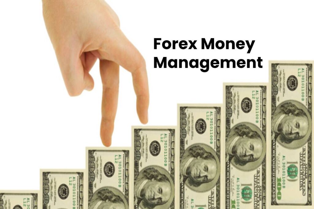 What is Forex Money Management? Tips For Successful, and More
