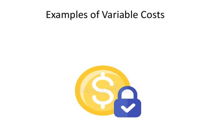 variable costs
