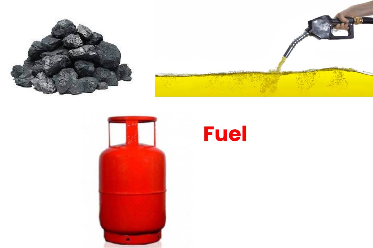 Fuel que significa en español