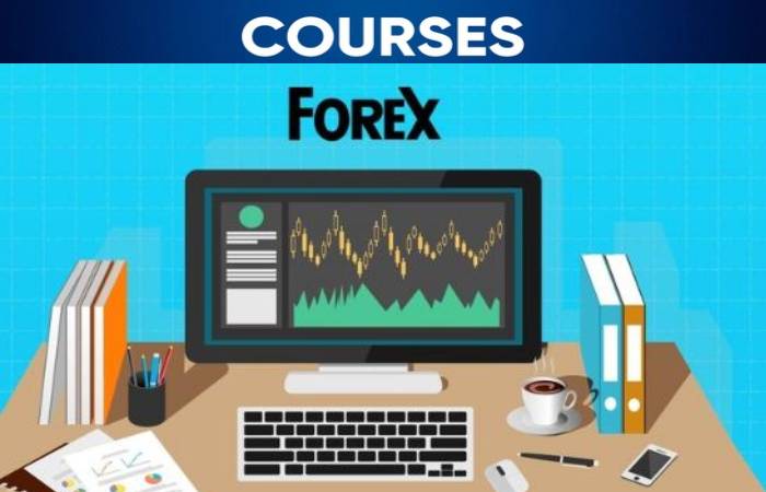 forex training