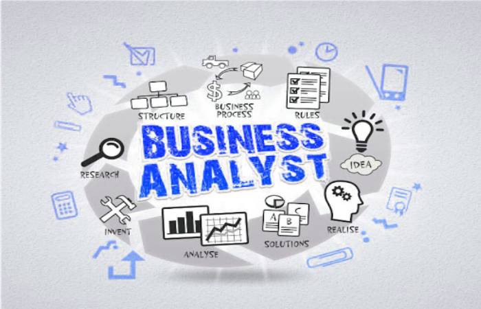 business analyst