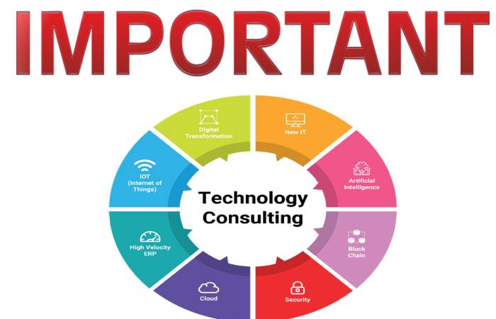 technology consulting
