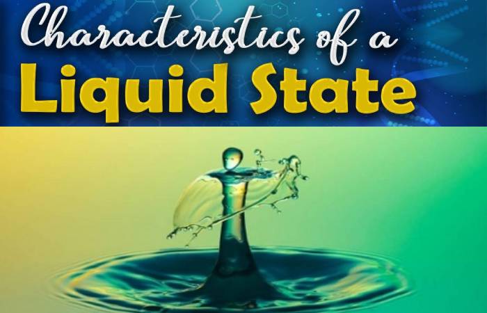 liquid state