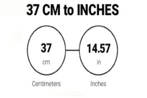 37 cm in inches