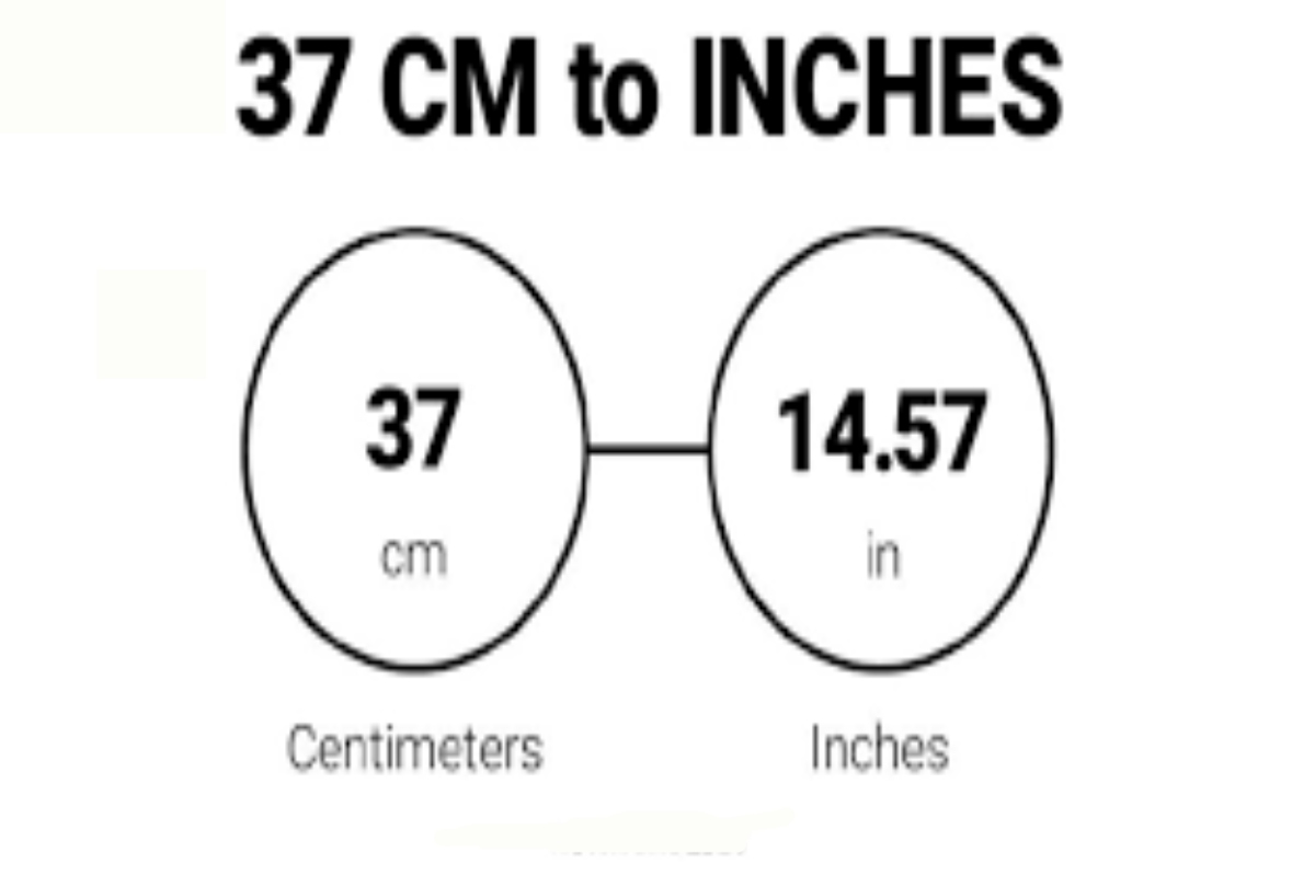 37 cm in inches