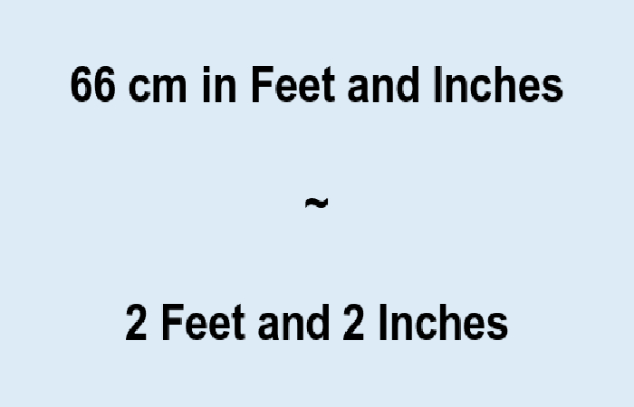 cm feet