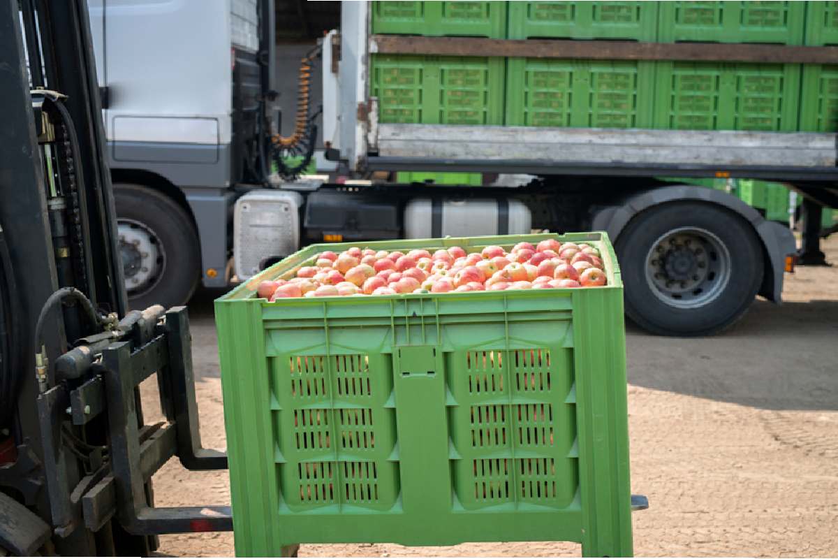 Food Industry