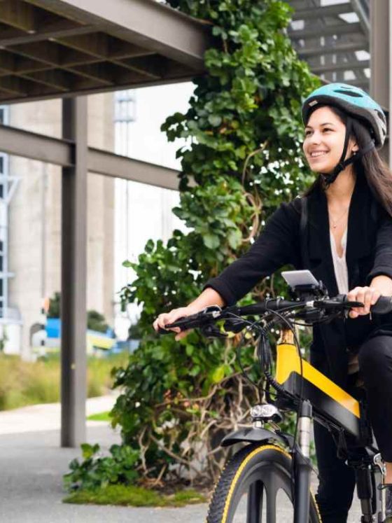 E-Bikes