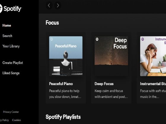 Spotify Web Player