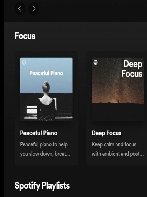 Spotify Web Player