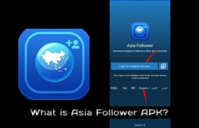 What is Asia Follower APK_