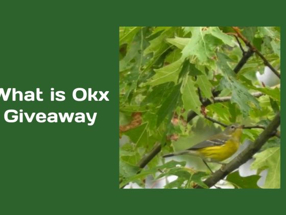 What is Oak Giveaway