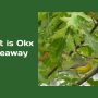 What is Oak Giveaway