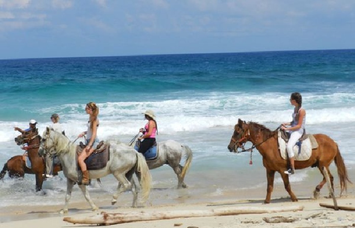 Horse riding tour of Urirama Cove