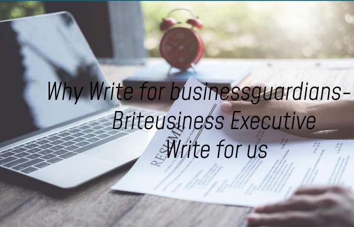 Why Write for thebusinessguardians – Business Executive Write for us