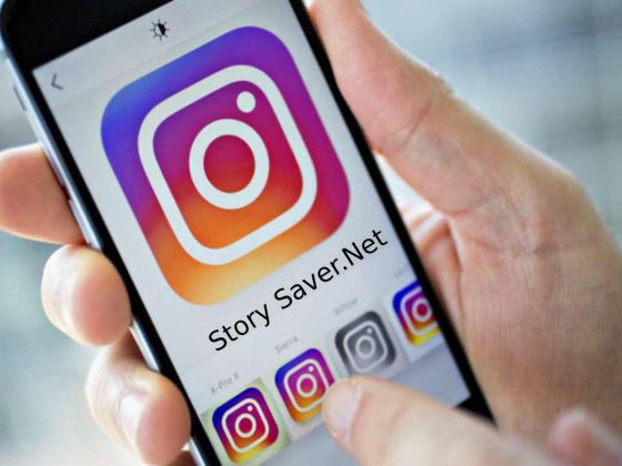 Story Saver.Net_ Instagram Story Downloader