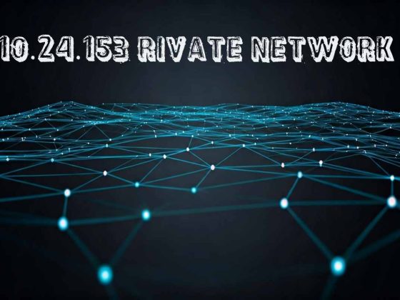 10.24.153 Private Network_ A Visual Guide